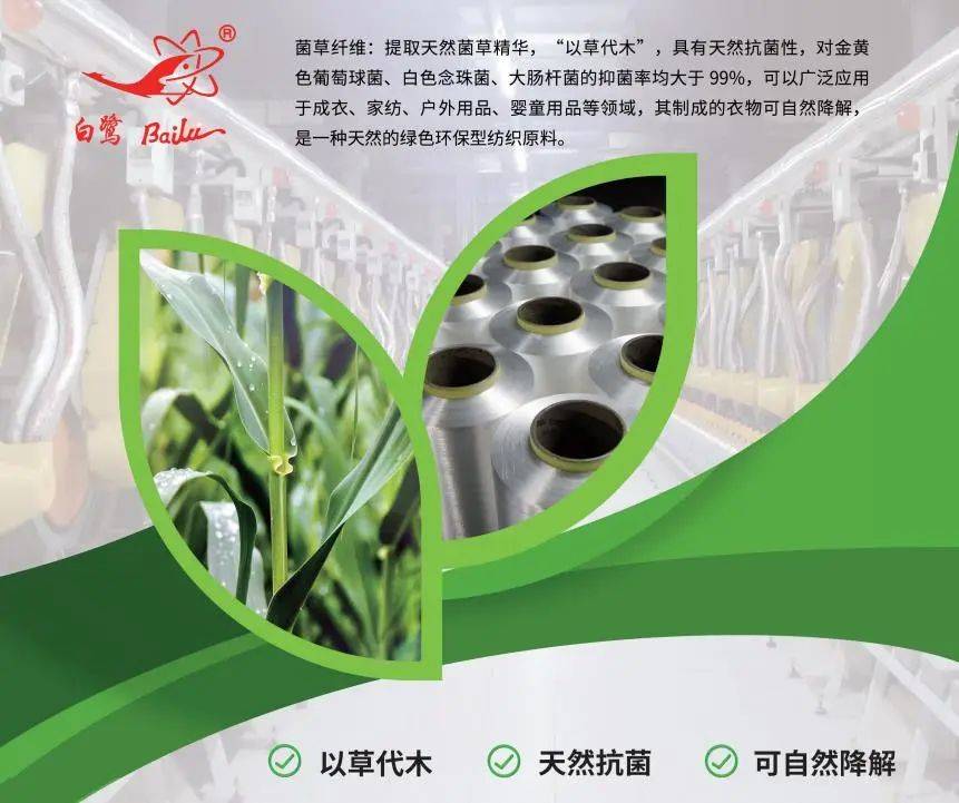 以草代木、天然抗菌、可自然降解，新鄉化纖開創新的“傳奇”——菌草纖維 
